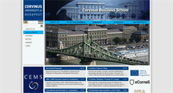 Desktop Screenshot of busecon.uni-corvinus.hu